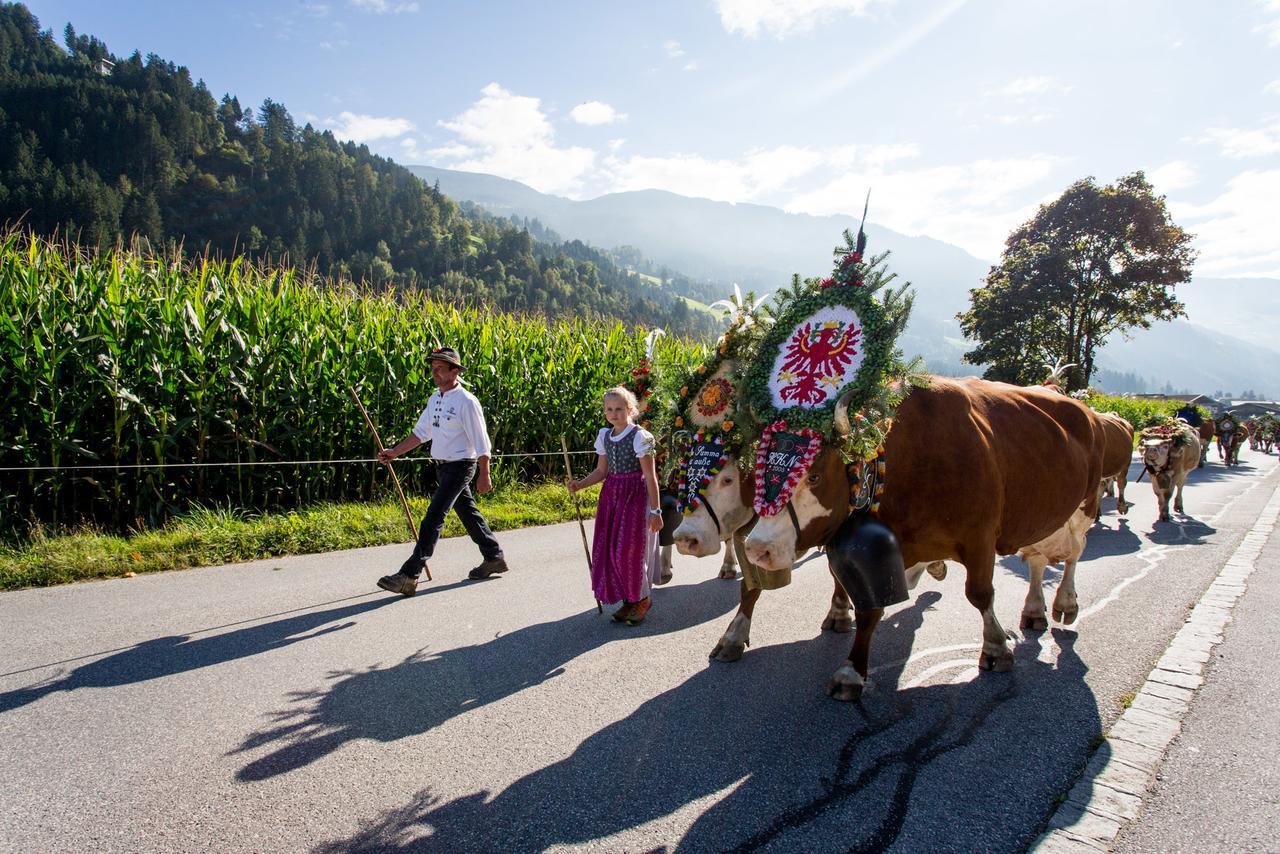 Apart Sprenger Fugen Im Zillertal Apartment Ngoại thất bức ảnh
