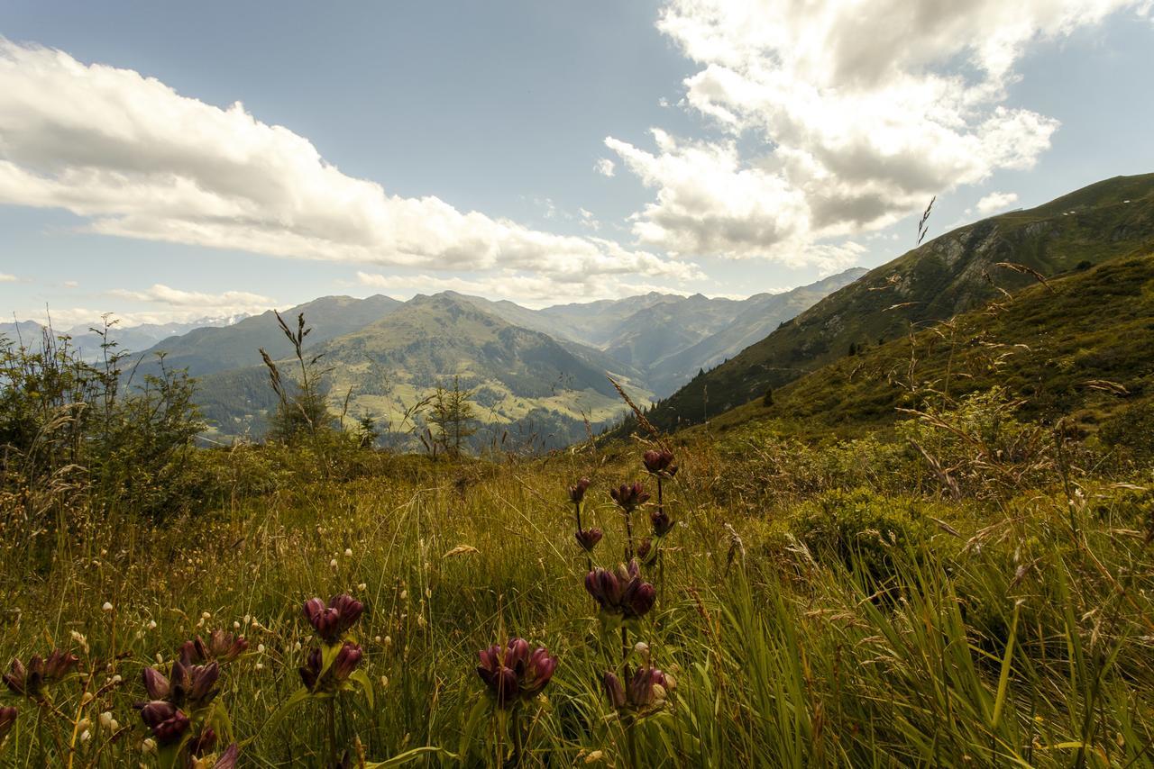 Apart Sprenger Fugen Im Zillertal Apartment Ngoại thất bức ảnh