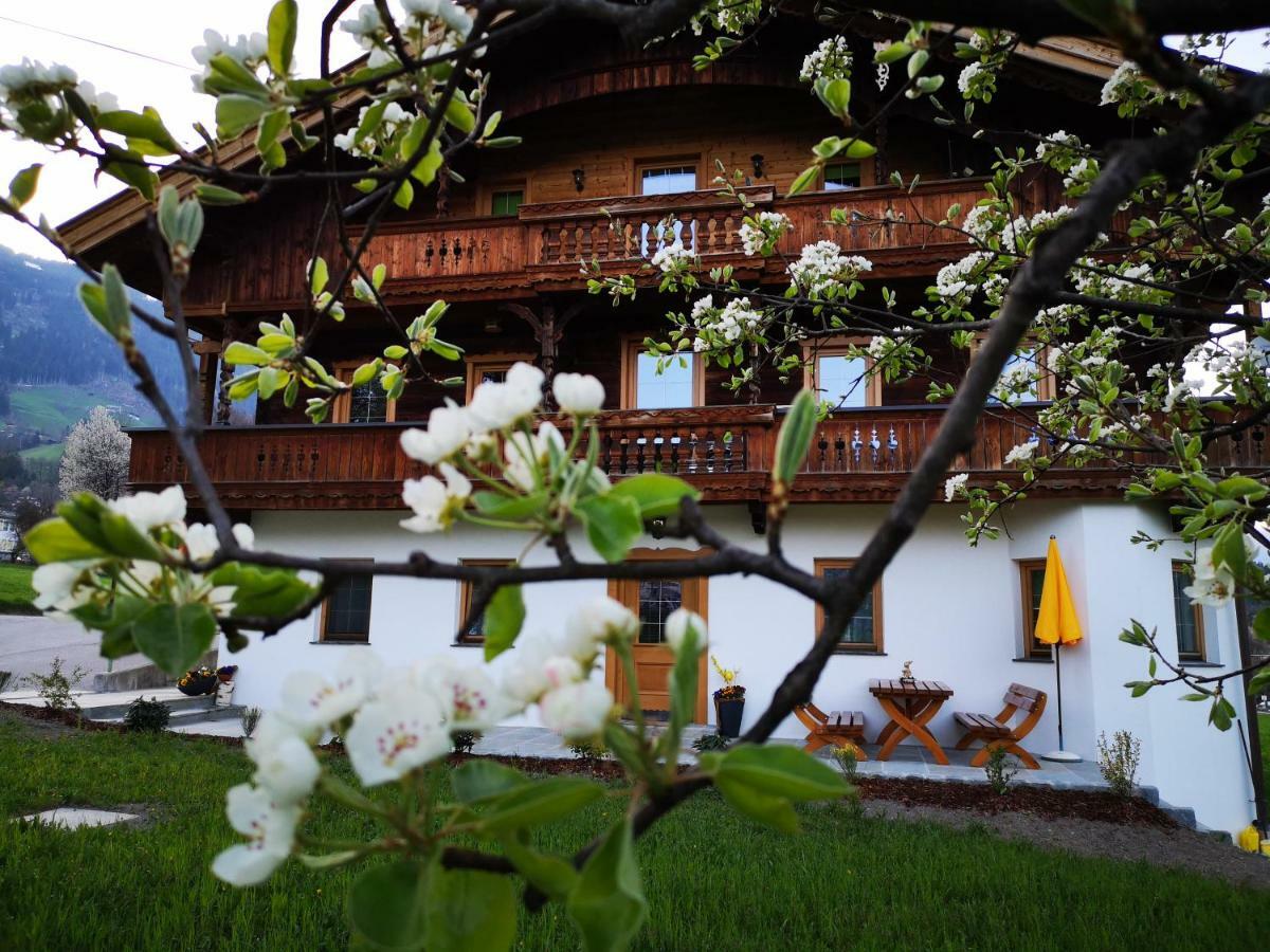 Apart Sprenger Fugen Im Zillertal Apartment Ngoại thất bức ảnh